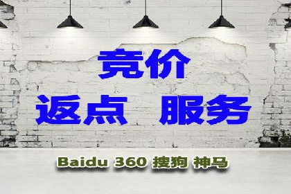 SEM代运营公司案例分析报告